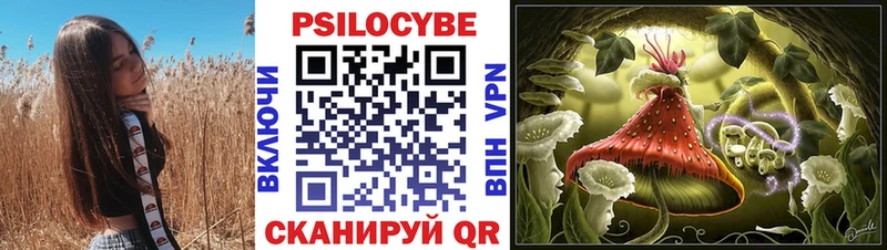 Купить закладки  Рудня  Галлюциногенные грибы ЛСД 